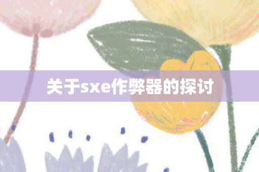 关于sxe作弊器的探讨图片