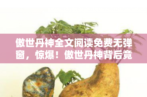 傲世丹神全文阅读免费无弹窗,惊爆!傲世丹神背后竟藏3000万隐情,真相让人吓一跳! 傲世丹神全文阅读免费无弹窗,惊爆!傲世丹神背后竟藏3000万隐情,真相让人吓一跳!