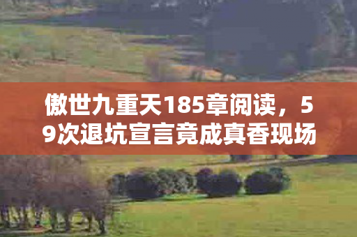 傲世九重天185章阅读，59次退坑宣言竟成真香现场！傲世九重天老炮的十年轮回之谜