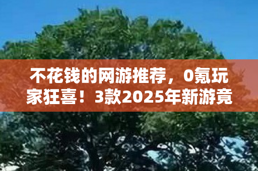 不花钱的网游推荐，0氪玩家狂喜！3款2025年新游竟能白嫖顶级装备？真相让人破防！