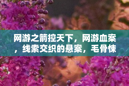 网游之箭控天下,网游血案,线索交织的悬案,毛骨悚然之我杀我 网游之箭控天下,网游血案,线索交织的悬案,毛骨悚然之我杀我