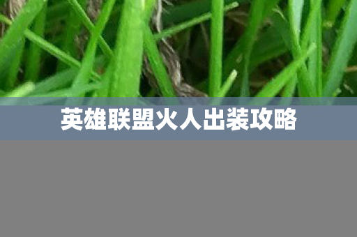 英雄联盟火人出装攻略图片