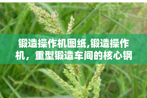 锻造操作机图纸,锻造操作机,重型锻造车间的核心钢铁巧手 锻造操作机图纸,锻造操作机,重型锻造车间的核心钢铁巧手
