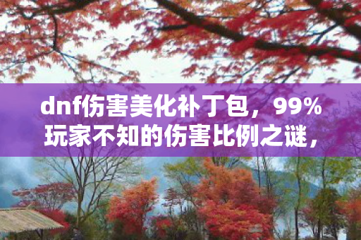 dnf伤害美化补丁包，99%玩家不知的伤害比例之谜，你的输出真的被隐藏了吗？