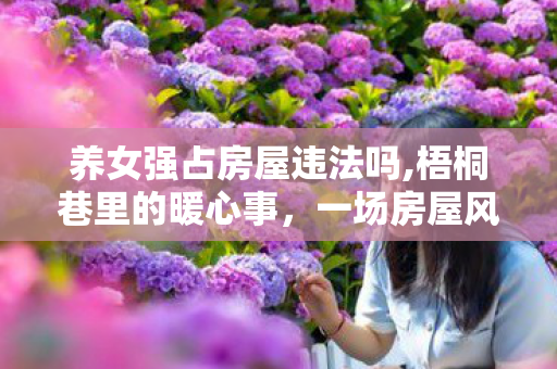 养女强占房屋违法吗,梧桐巷里的暖心事，一场房屋风波后的亲情归位
