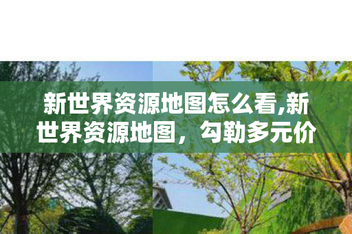 新世界资源地图怎么看,新世界资源地图,勾勒多元价值的发展新图景 新世界资源地图怎么看,新世界资源地图,勾勒多元价值的发展新图景