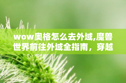 wow奥格怎么去外域,魔兽世界前往外域全指南，穿越黑暗之门的实用游玩攻略