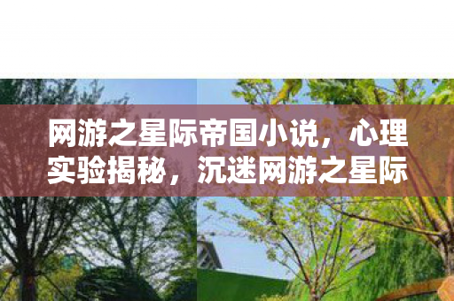 网游之星际帝国小说,心理实验揭秘,沉迷网游之星际帝国,细思极恐的自我麻醉 网游之星际帝国小说,心理实验揭秘,沉迷网游之星际帝国,细思极恐的自我麻醉
