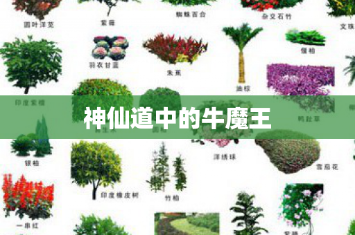 神仙道中的牛魔王图片