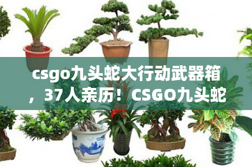 csgo九头蛇大行动武器箱,37人亲历!CSGO九头蛇行动惊现幽灵弹道?网吧老炮绷不住,这局我认栽! csgo九头蛇大行动武器箱,37人亲历!CSGO九头蛇行动惊现幽灵弹道?网吧老炮绷不住,这局我认栽!