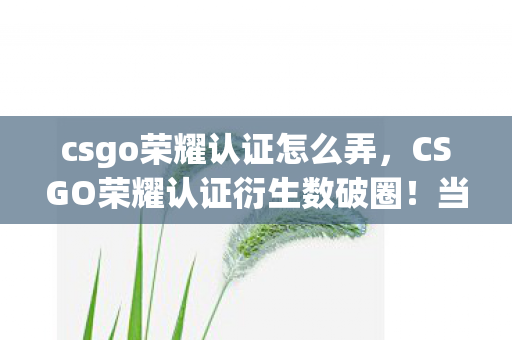 csgo荣耀认证怎么弄,CSGO荣耀认证衍生数破圈!当电竞枪火撞上意想不到的跨界狂潮 csgo荣耀认证怎么弄,CSGO荣耀认证衍生数破圈!当电竞枪火撞上意想不到的跨界狂潮