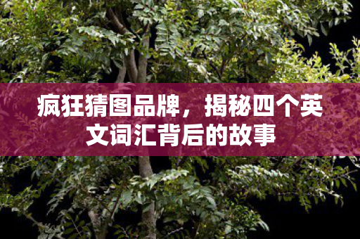 揭秘四个英文词汇背后的故事图片
