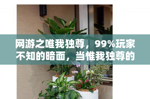网游之唯我独尊,99%玩家不知的暗面,当惟我独尊的狂欢撞碎现实棱角 网游之唯我独尊,99%玩家不知的暗面,当惟我独尊的狂欢撞碎现实棱角