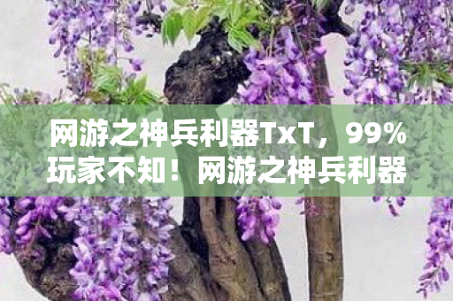 网游之神兵利器TxT，99%玩家不知！网游之神兵利器隐藏剧情竟藏惊天反转！