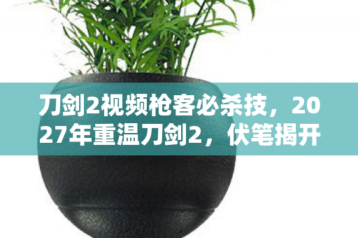刀剑2视频枪客必杀技，2027年重温刀剑2，伏笔揭开旧情，鼻子一酸忆往昔