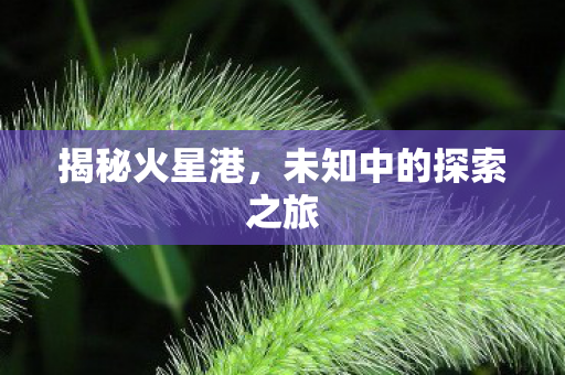 未知中的探索之旅图片
