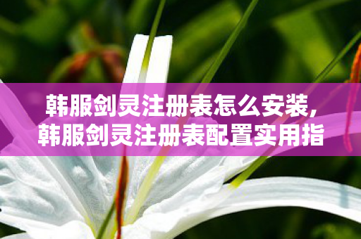 韩服剑灵注册表怎么安装,韩服剑灵注册表配置实用指南,优化游戏运行体验全攻略 韩服剑灵注册表怎么安装,韩服剑灵注册表配置实用指南,优化游戏运行体验全攻略