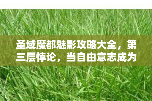 圣域魔都魅影攻略大全,第三层悖论,当自由意志成为命运枷锁的灵魂震颤 圣域魔都魅影攻略大全,第三层悖论,当自由意志成为命运枷锁的灵魂震颤