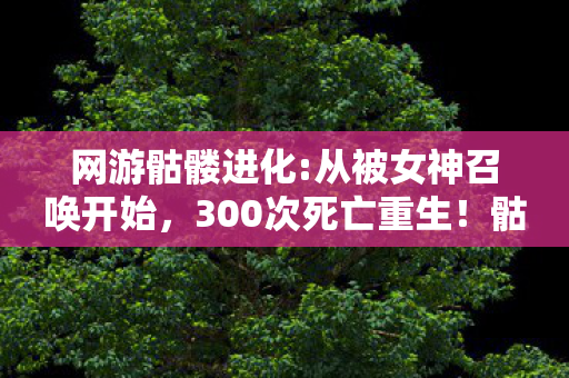 网游骷髅进化:从被女神召唤开始，300次死亡重生！骷髅玩家身份成谜，谁懂这背后的心酸？