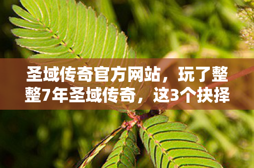 圣域传奇官方网站，玩了整整7年圣域传奇，这3个抉择让我陷入无尽纠结！