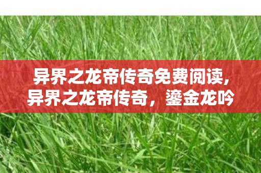 异界之龙帝传奇免费阅读,异界之龙帝传奇,鎏金龙吟震彻万族苍穹 异界之龙帝传奇免费阅读,异界之龙帝传奇,鎏金龙吟震彻万族苍穹