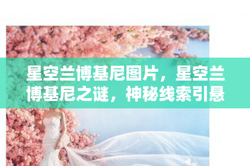 星空兰博基尼图片,星空兰博基尼之谜,神秘线索引悬案,毛骨悚然十年困局 星空兰博基尼图片,星空兰博基尼之谜,神秘线索引悬案,毛骨悚然十年困局