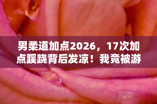 男柔道加点2026，17次加点蹊跷背后发凉！我竟被游戏玩了十年？