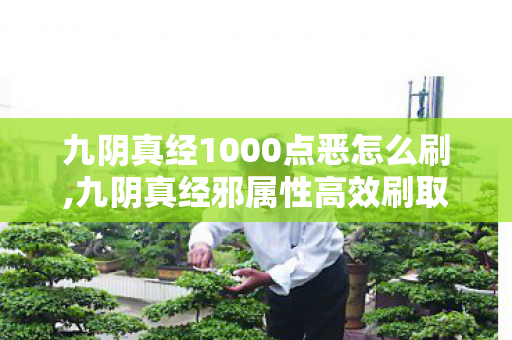 九阴真经1000点恶怎么刷,九阴真经邪属性高效刷取实用技巧分享 九阴真经1000点恶怎么刷,九阴真经邪属性高效刷取实用技巧分享