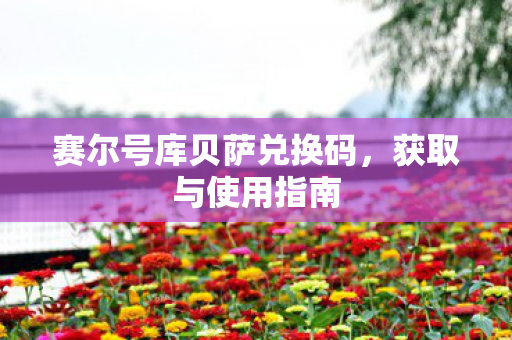 赛尔号库贝萨兑换码图片