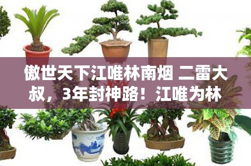 傲世天下江唯林南烟 二雷大叔，3年封神路！江唯为林南烟怒砸百万，最后1秒竟被系统背刺？