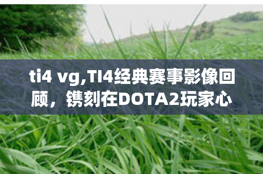ti4 vg,TI4经典赛事影像回顾,镌刻在DOTA2玩家心底的热血盛夏 ti4 vg,TI4经典赛事影像回顾,镌刻在DOTA2玩家心底的热血盛夏