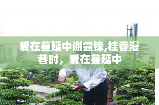 爱在蔓延中谢霆锋,桂香漫巷时，爱在蔓延中