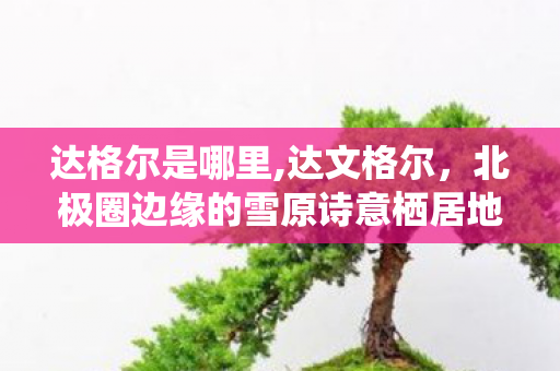 达格尔是哪里,达文格尔,北极圈边缘的雪原诗意栖居地 达格尔是哪里,达文格尔,北极圈边缘的雪原诗意栖居地