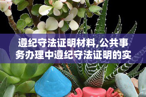 遵纪守法证明材料,公共事务办理中遵纪守法证明的实用指引 遵纪守法证明材料,公共事务办理中遵纪守法证明的实用指引