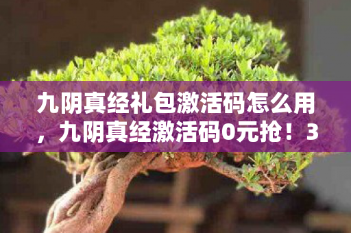 九阴真经礼包激活码怎么用,九阴真经激活码0元抢!3000+衍生数破圈炸场,这波操作我直接笑到邻居报警! 九阴真经礼包激活码怎么用,九阴真经激活码0元抢!3000+衍生数破圈炸场,这波操作我直接笑到邻居报警!