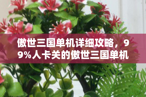 傲世三国单机详细攻略,99%人卡关的傲世三国单机!第7关这操作让我哭到凌晨3点 傲世三国单机详细攻略,99%人卡关的傲世三国单机!第7关这操作让我哭到凌晨3点
