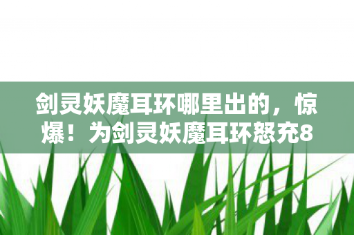 剑灵妖魔耳环哪里出的,惊爆!为剑灵妖魔耳环怒充8万,老婆签离婚协议,我悔不当初! 剑灵妖魔耳环哪里出的,惊爆!为剑灵妖魔耳环怒充8万,老婆签离婚协议,我悔不当初!