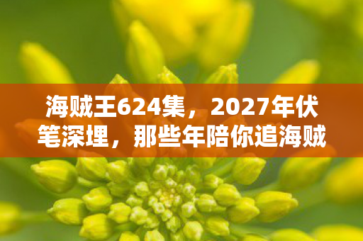海贼王624集,2027年伏笔深埋,那些年陪你追海贼王的人,如今鼻子一酸 海贼王624集,2027年伏笔深埋,那些年陪你追海贼王的人,如今鼻子一酸