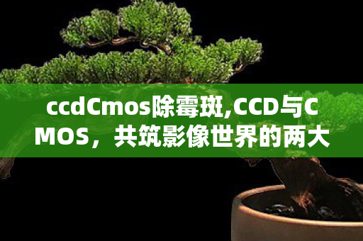 ccdCmos除霉斑,CCD与CMOS,共筑影像世界的两大传感基石 ccdCmos除霉斑,CCD与CMOS,共筑影像世界的两大传感基石