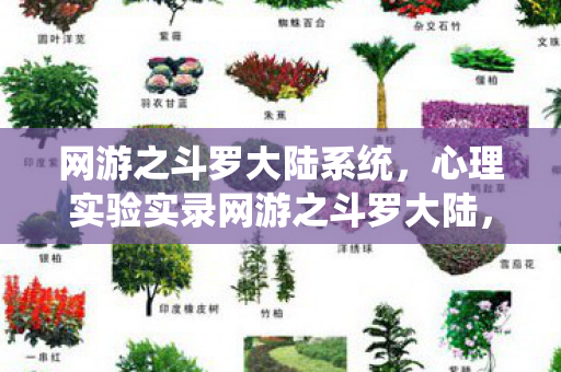 网游之斗罗大陆系统,心理实验实录网游之斗罗大陆,当再来一局成为细思极恐的沉迷陷阱 网游之斗罗大陆系统,心理实验实录网游之斗罗大陆,当再来一局成为细思极恐的沉迷陷阱