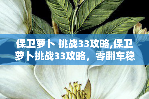保卫萝卜 挑战33攻略,保卫萝卜挑战33攻略,零翻车稳拿金萝卜的实用通关指南 保卫萝卜 挑战33攻略,保卫萝卜挑战33攻略,零翻车稳拿金萝卜的实用通关指南