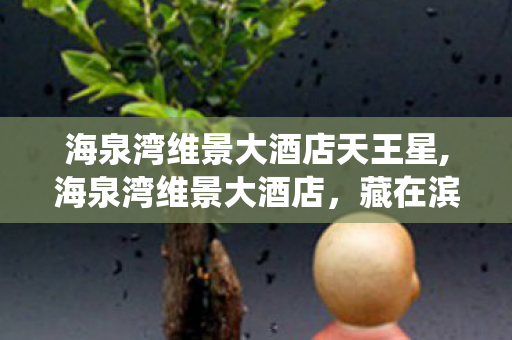 海泉湾维景大酒店天王星,海泉湾维景大酒店,藏在滨海畔的松弛度假栖息地 海泉湾维景大酒店天王星,海泉湾维景大酒店,藏在滨海畔的松弛度假栖息地