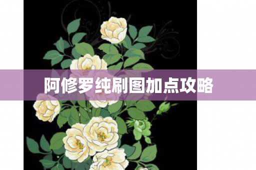 阿修罗纯刷图加点攻略图片