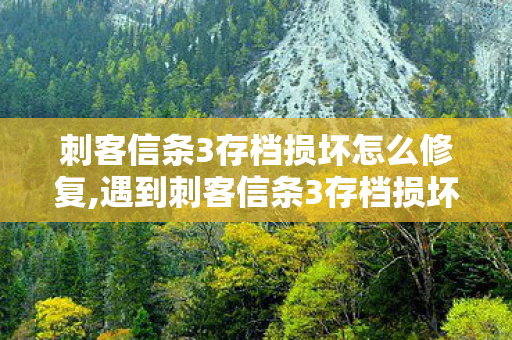 刺客信条3存档损坏怎么修复,遇到刺客信条3存档损坏?试试这些实用的自救小技巧 刺客信条3存档损坏怎么修复,遇到刺客信条3存档损坏?试试这些实用的自救小技巧