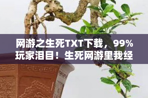 网游之生死TXT下载,99%玩家泪目!生死网游里我经历了3次灵魂震颤的绝境逆袭 网游之生死TXT下载,99%玩家泪目!生死网游里我经历了3次灵魂震颤的绝境逆袭