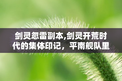 剑灵忽雷副本,剑灵开荒时代的集体印记,平南舰队里的铁血忽雷 剑灵忽雷副本,剑灵开荒时代的集体印记,平南舰队里的铁血忽雷