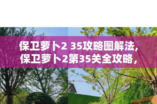 保卫萝卜2 35攻略图解法,保卫萝卜2第35关全攻略,轻松拿下满星水晶萝卜 保卫萝卜2 35攻略图解法,保卫萝卜2第35关全攻略,轻松拿下满星水晶萝卜