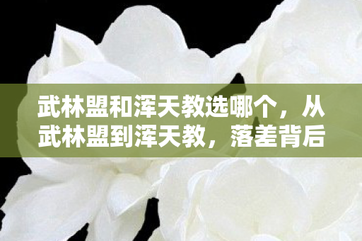 武林盟和浑天教选哪个,从武林盟到浑天教,落差背后真相揭晓,笑着笑着就哭了 武林盟和浑天教选哪个,从武林盟到浑天教,落差背后真相揭晓,笑着笑着就哭了