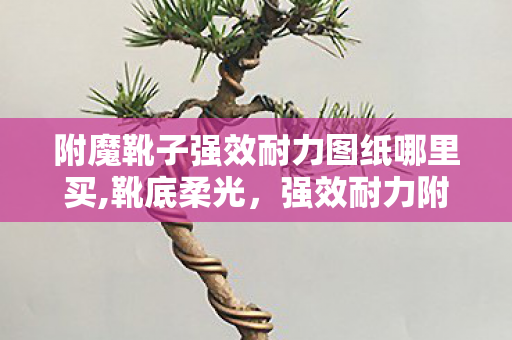附魔靴子强效耐力图纸哪里买,靴底柔光，强效耐力附魔陪我走过的奇幻冒险路