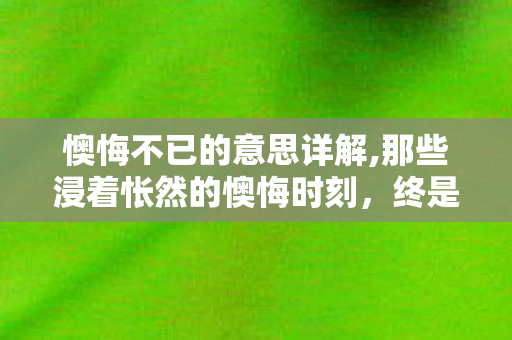 懊悔不已的意思详解,那些浸着怅然的懊悔时刻，终是生活的温柔注脚